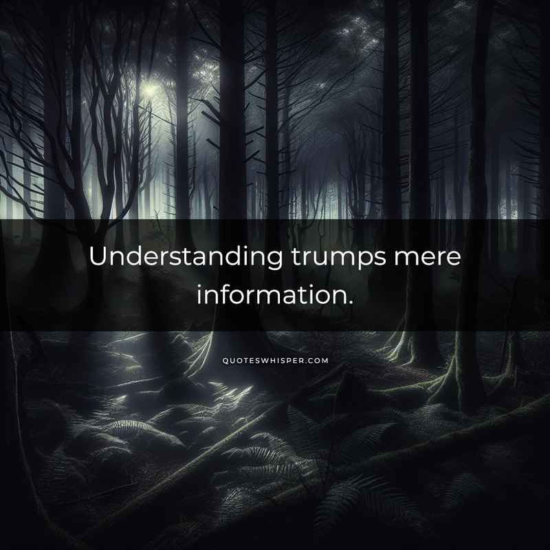 Understanding trumps mere information.