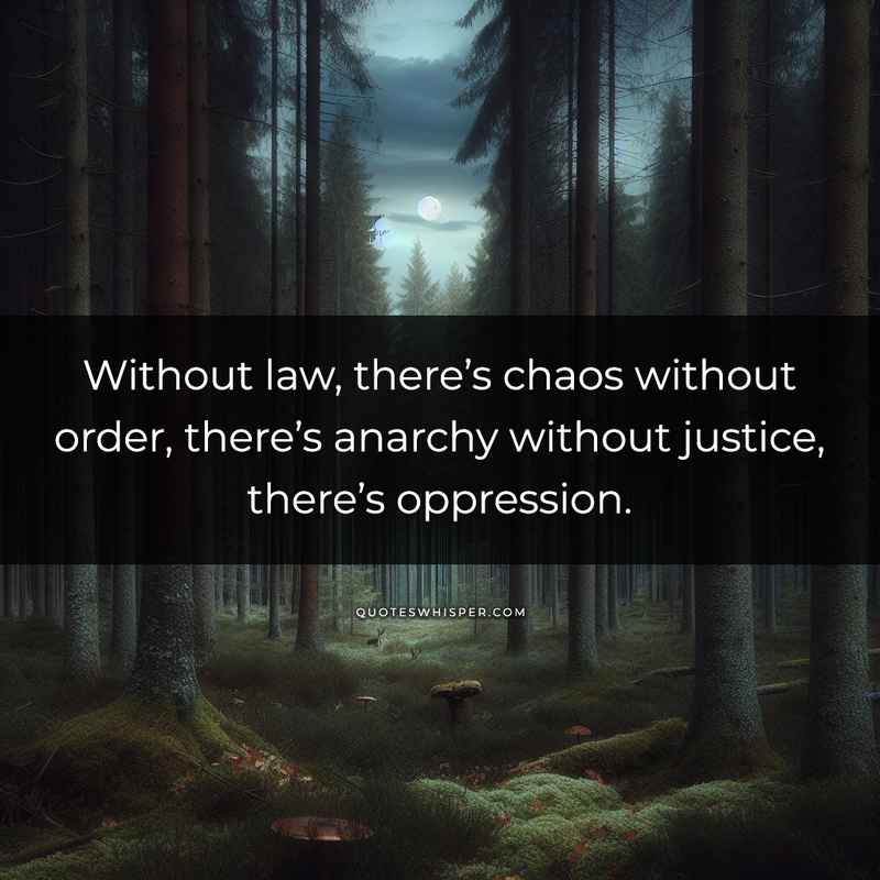 Without law, there’s chaos without order, there’s anarchy without justice, there’s oppression.