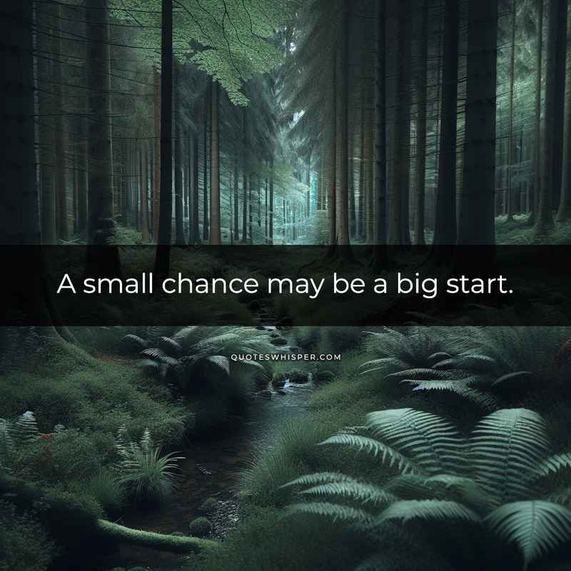 A small chance may be a big start.