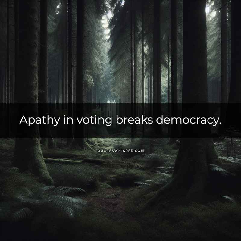 Apathy in voting breaks democracy.