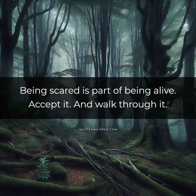 Being scared is part of being alive. Accept it. And walk through it.