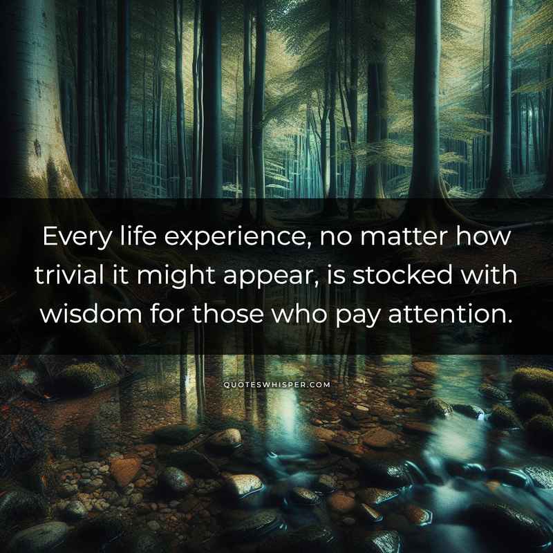 Every life experience, no matter how trivial it might appear, is stocked with wisdom for those who pay attention.