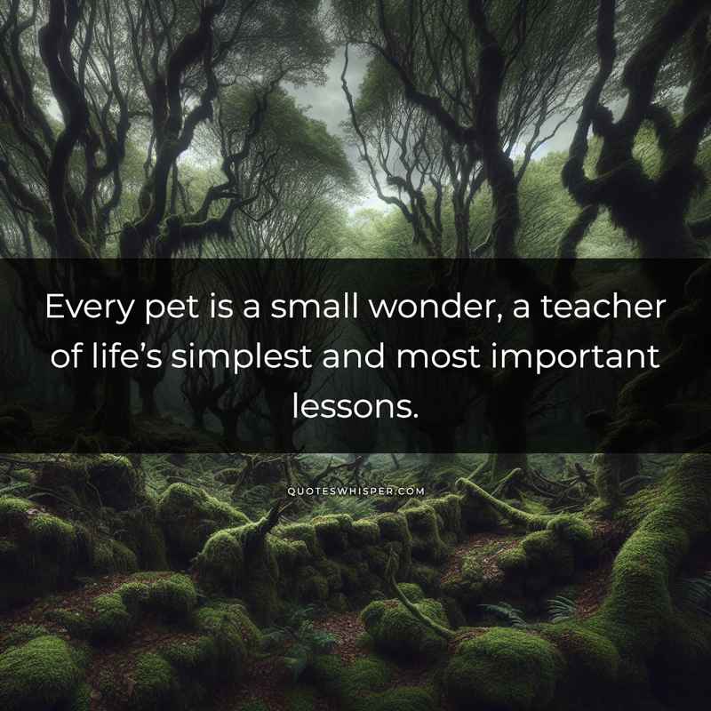 Every pet is a small wonder, a teacher of life’s simplest and most important lessons.