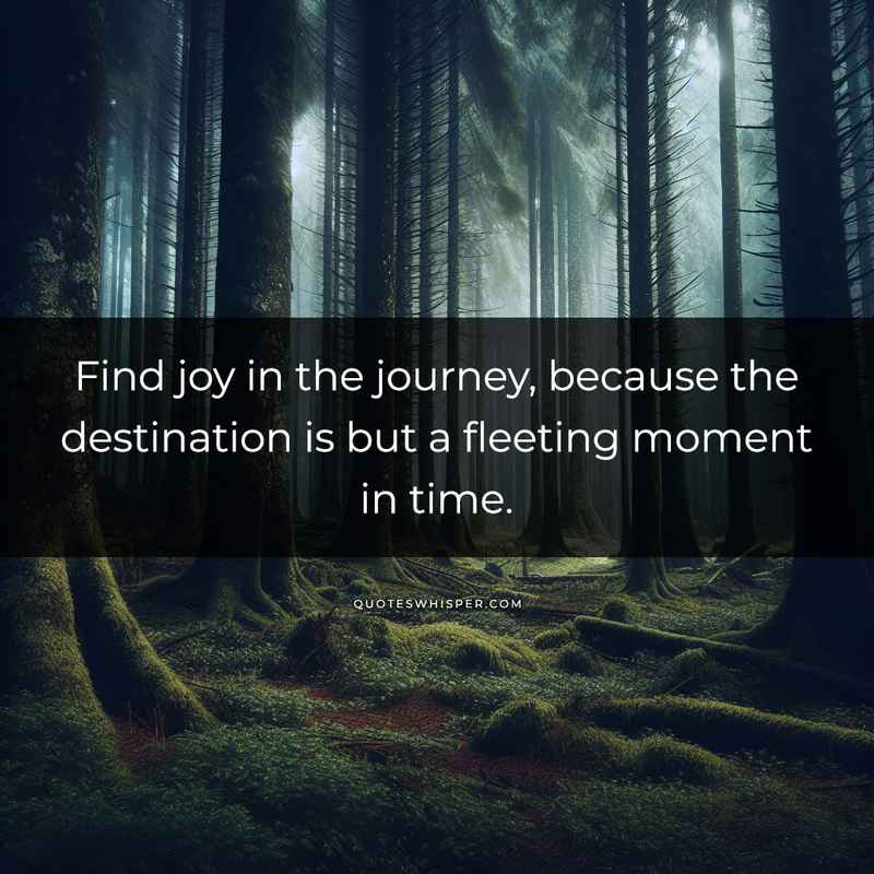 Find joy in the journey, because the destination is but a fleeting moment in time.