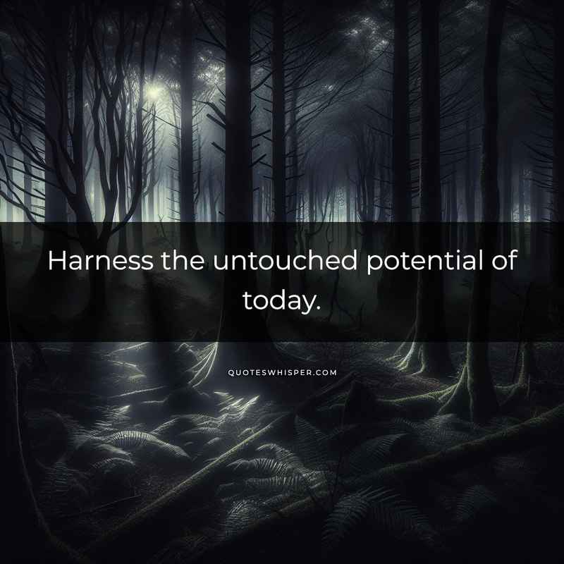 Harness the untouched potential of today.