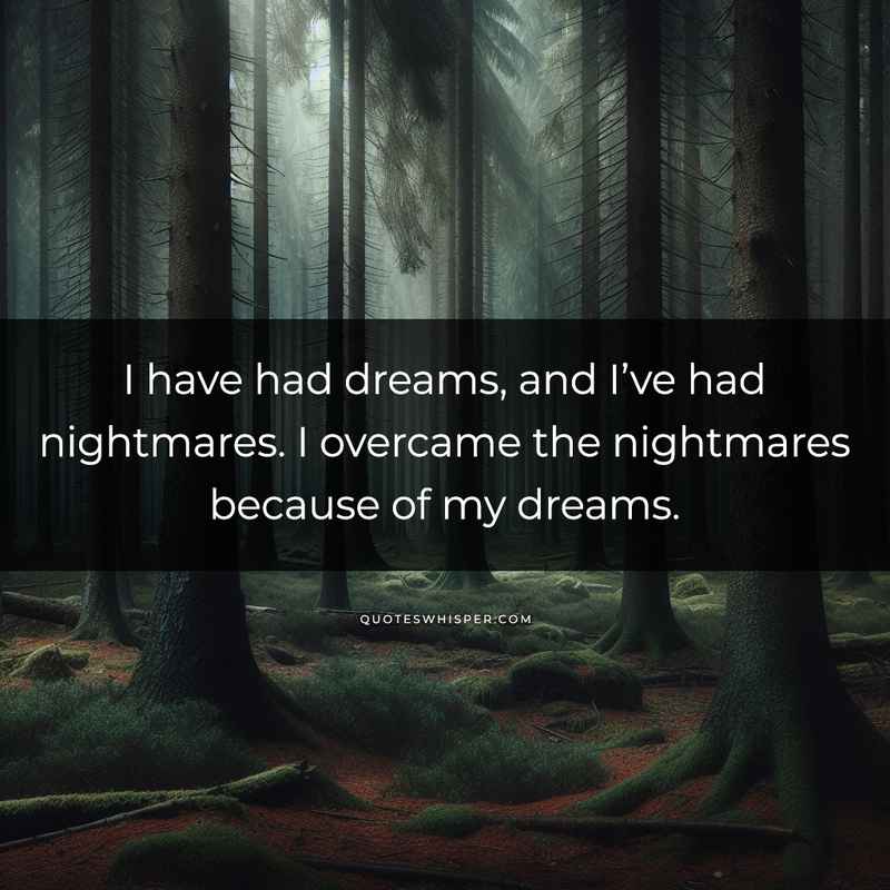 I have had dreams, and I’ve had nightmares. I overcame the nightmares because of my dreams.