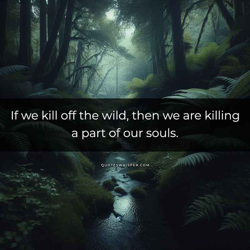 If we kill off the wild, then we are killing a part of our souls.