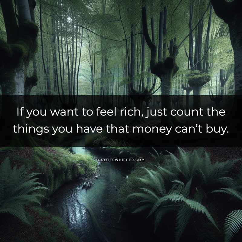 If you want to feel rich, just count the things you have that money can’t buy.