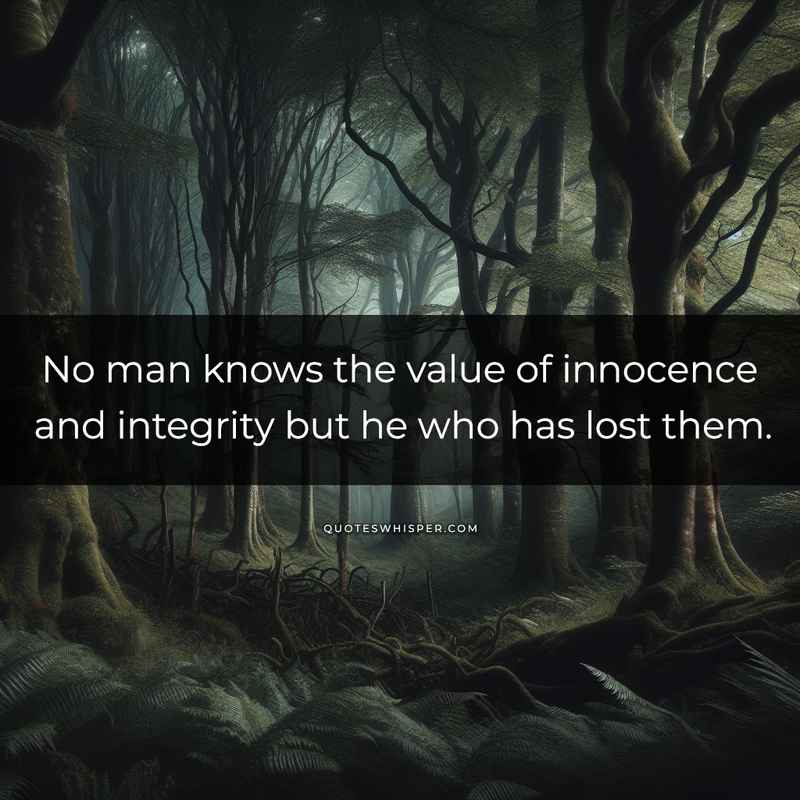 No man knows the value of innocence and integrity but he who has lost them.