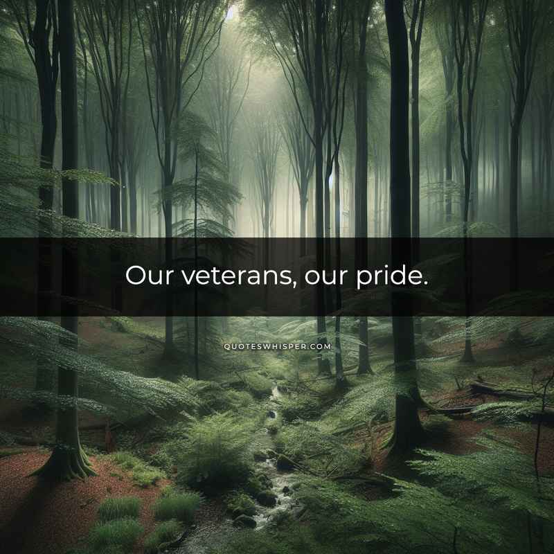 Our veterans, our pride.