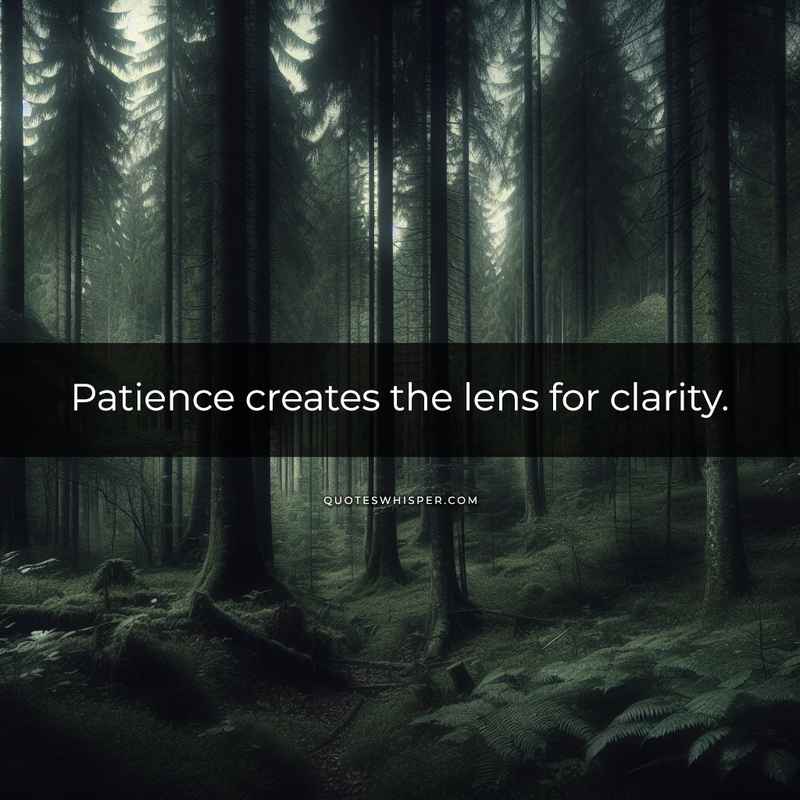 Patience creates the lens for clarity.