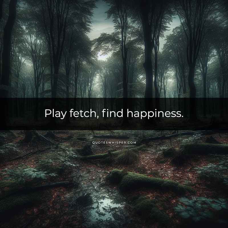 Play fetch, find happiness.