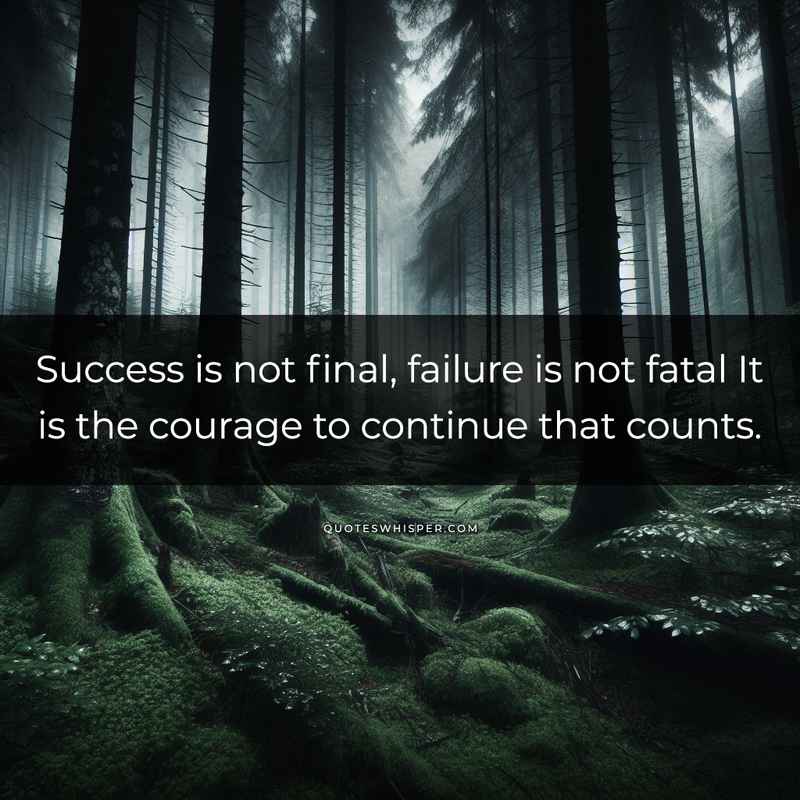 Success is not final, failure is not fatal It is the courage to continue that counts.