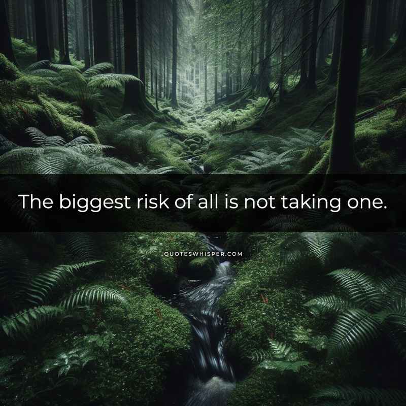 The biggest risk of all is not taking one.