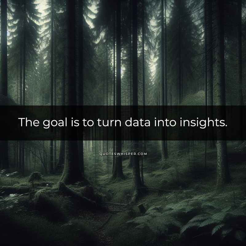 The goal is to turn data into insights.