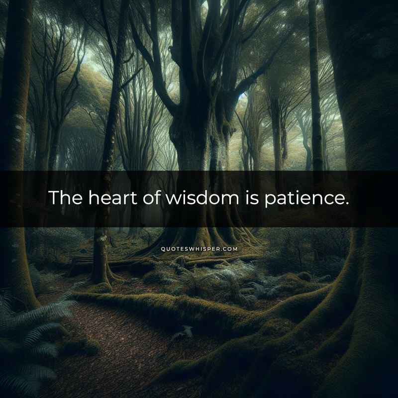 The heart of wisdom is patience.