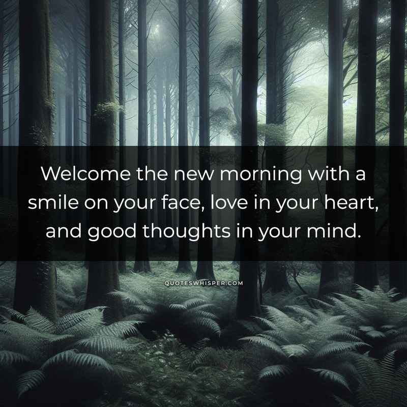 Welcome the new morning with a smile on your face, love in your heart, and good thoughts in your mind.