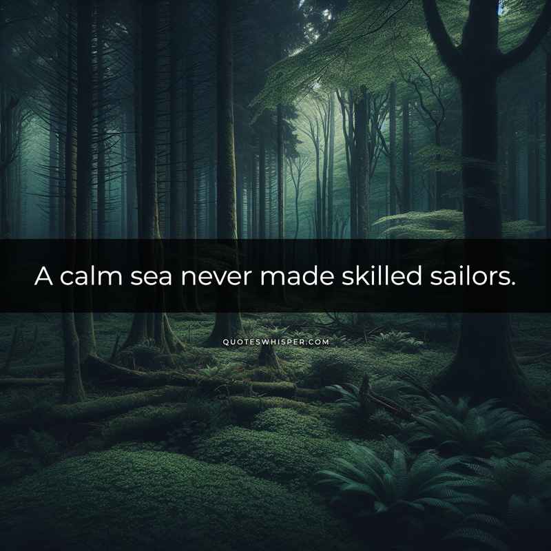 A calm sea never made skilled sailors.
