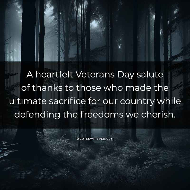 A heartfelt Veterans Day salute of thanks to those who made the ultimate sacrifice for our country while defending the freedoms we cherish.