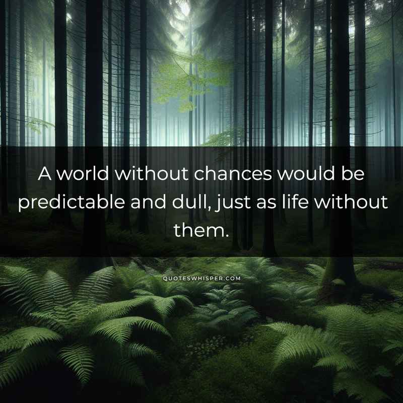 A world without chances would be predictable and dull, just as life without them.