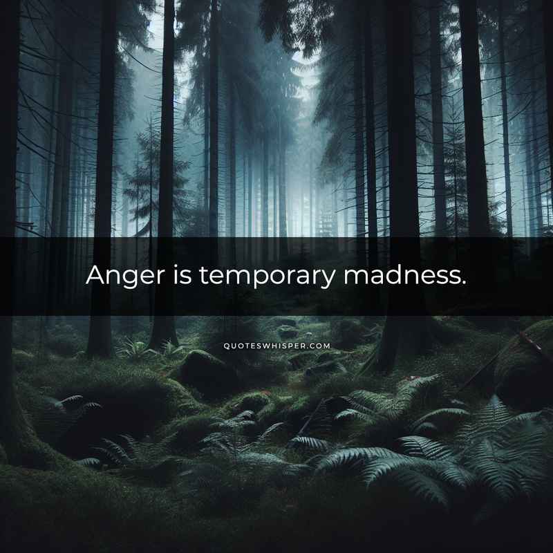 Anger is temporary madness.