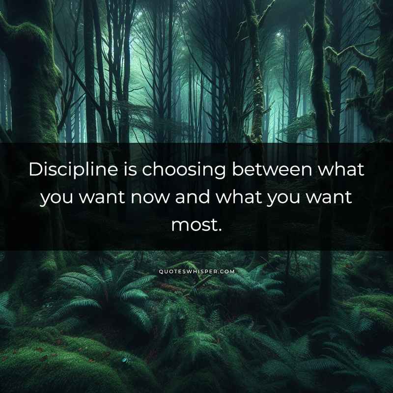 Discipline is choosing between what you want now and what you want most.