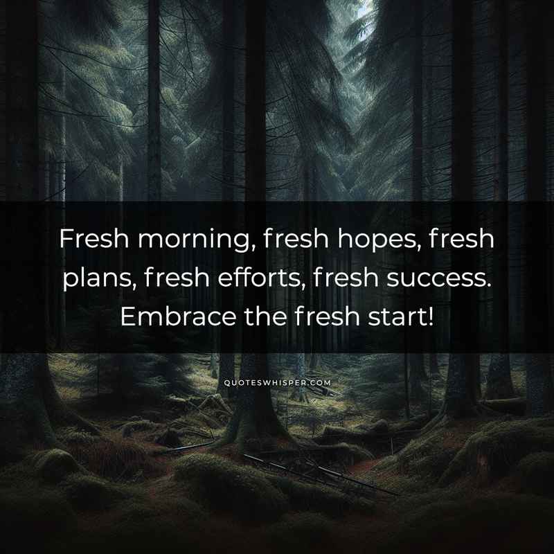 Fresh morning, fresh hopes, fresh plans, fresh efforts, fresh success. Embrace the fresh start!