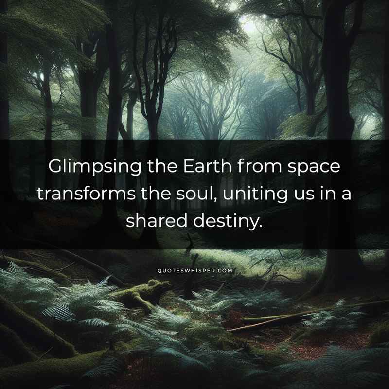 Glimpsing the Earth from space transforms the soul, uniting us in a shared destiny.