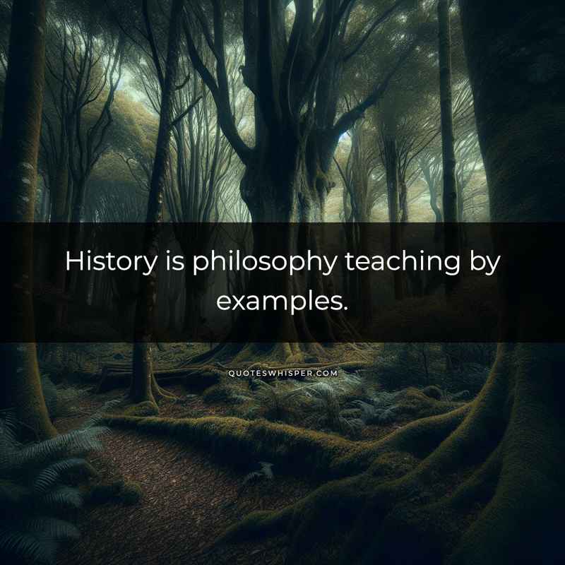 History is philosophy teaching by examples.