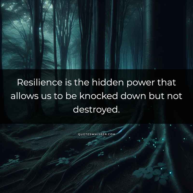 Resilience is the hidden power that allows us to be knocked down but not destroyed.