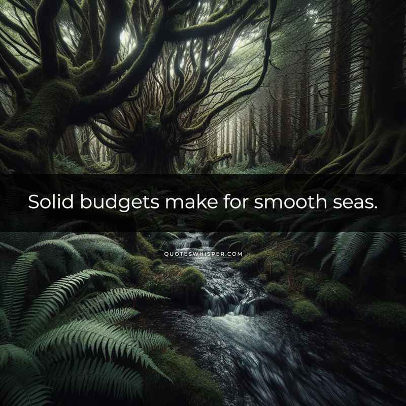 Solid budgets make for smooth seas.