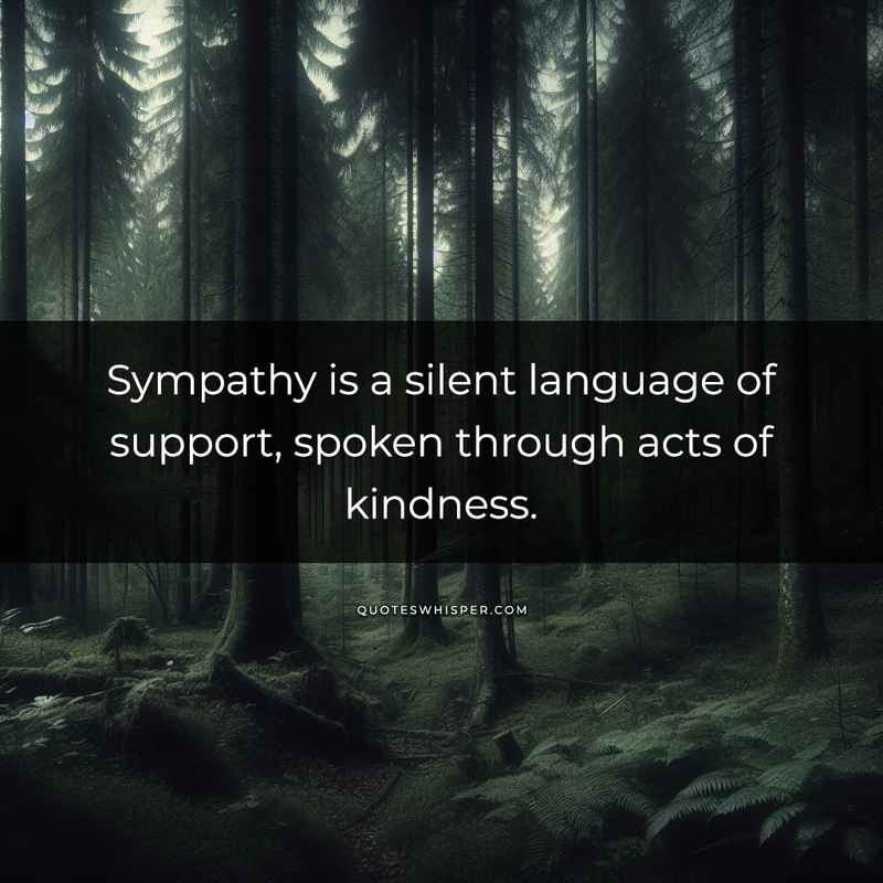 Sympathy is a silent language of support, spoken through acts of kindness.