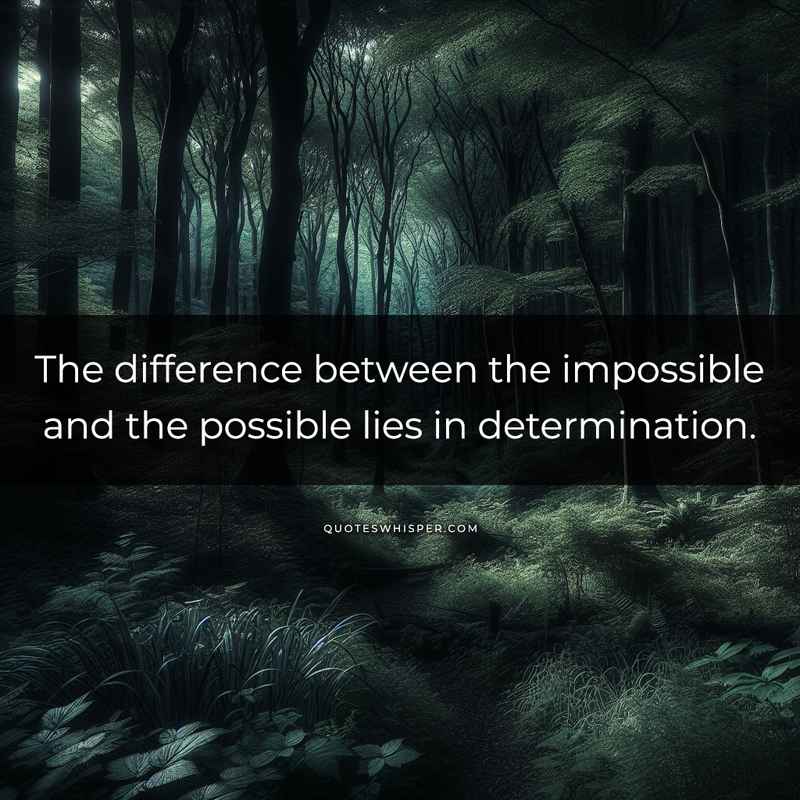 The difference between the impossible and the possible lies in determination.