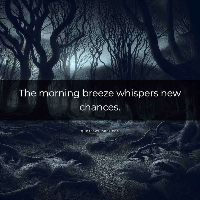 The morning breeze whispers new chances.