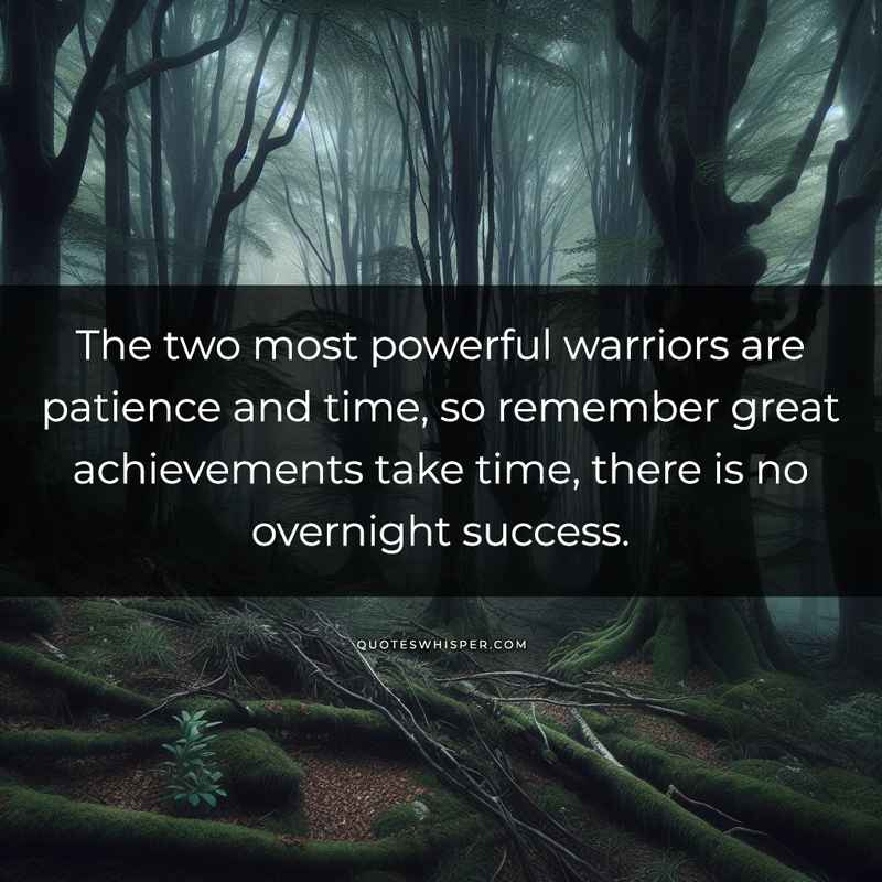 The two most powerful warriors are patience and time, so remember great achievements take time, there is no overnight success.