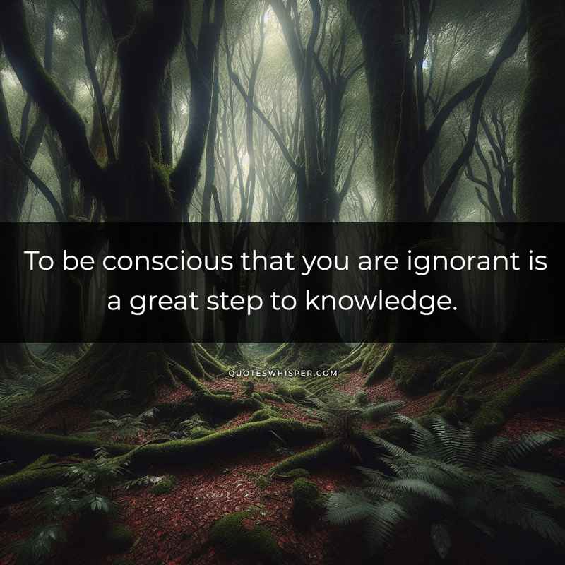 To be conscious that you are ignorant is a great step to knowledge.