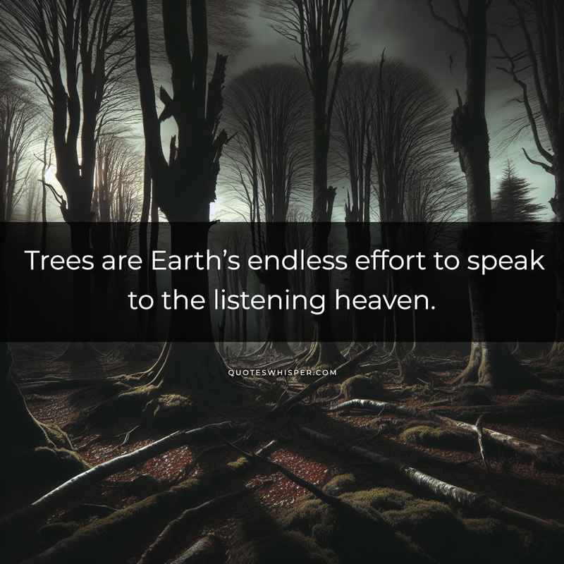 Trees are Earth’s endless effort to speak to the listening heaven.