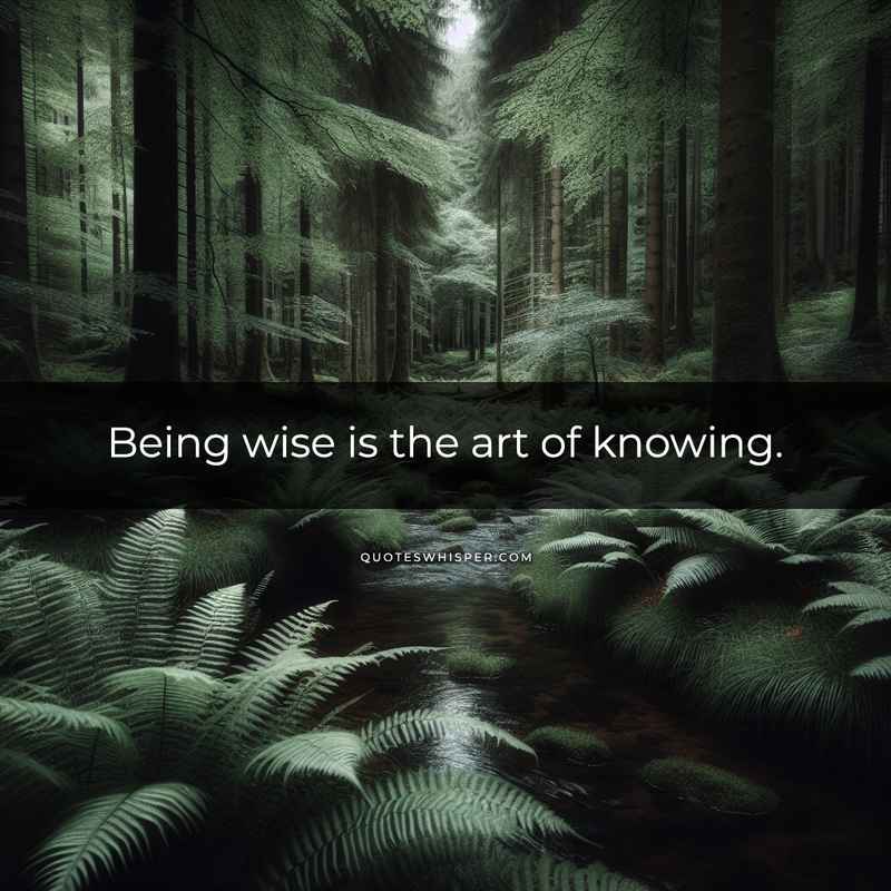Being wise is the art of knowing.