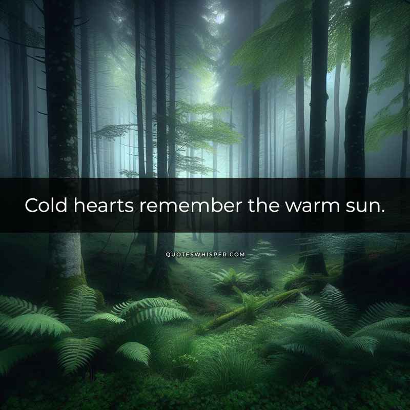 Cold hearts remember the warm sun.