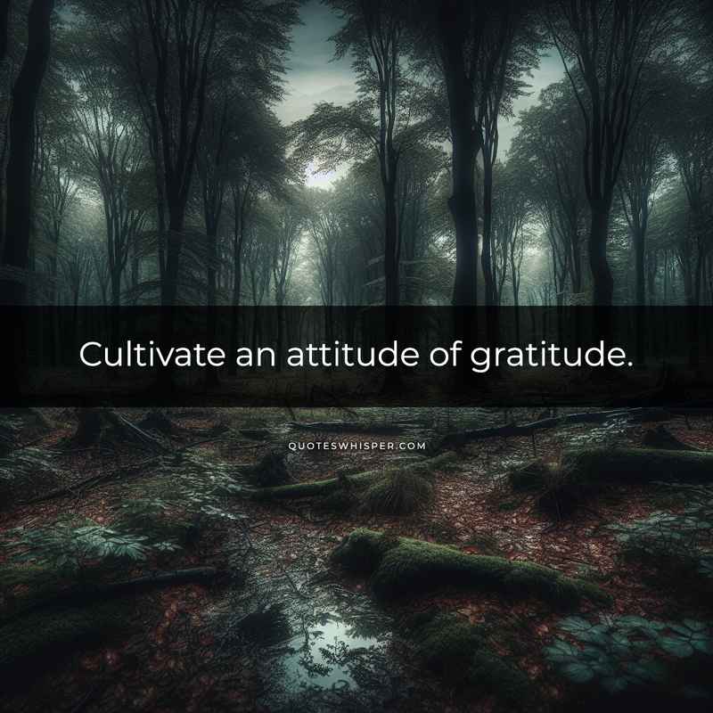 Cultivate an attitude of gratitude.