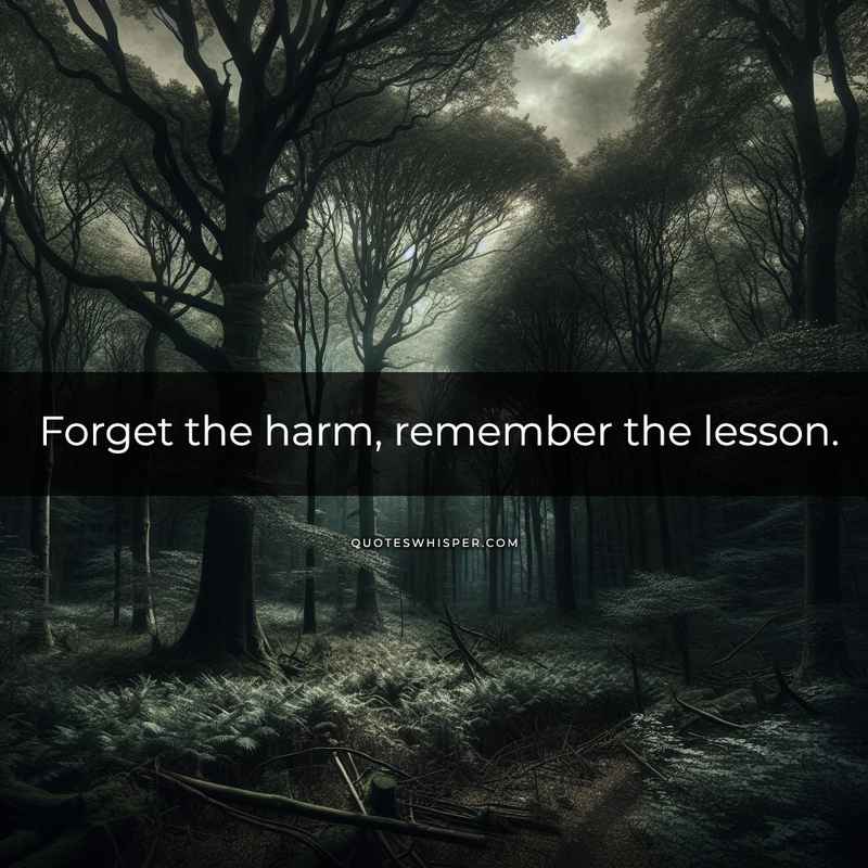 Forget the harm, remember the lesson.