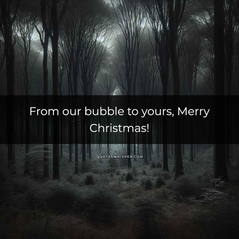 From our bubble to yours, Merry Christmas!