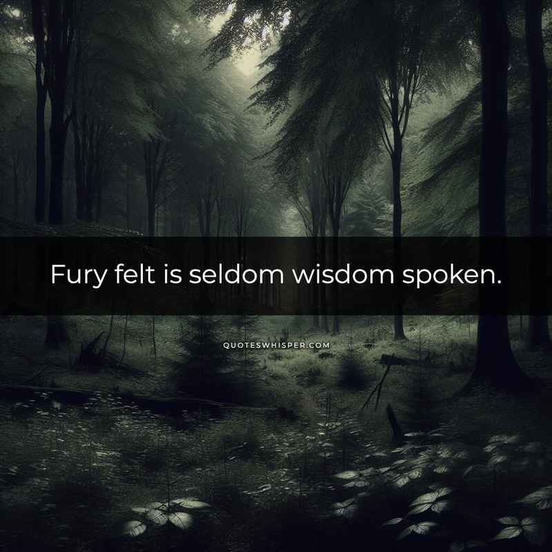 Fury felt is seldom wisdom spoken.