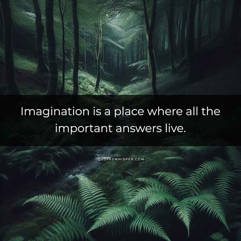 Imagination is a place where all the important answers live.