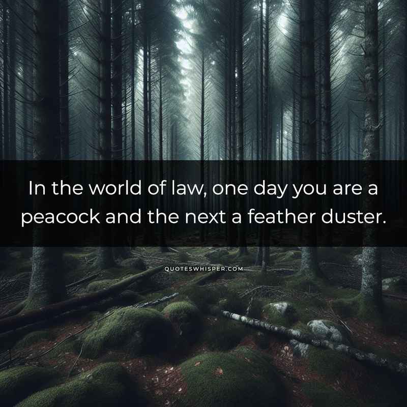 In the world of law, one day you are a peacock and the next a feather duster.
