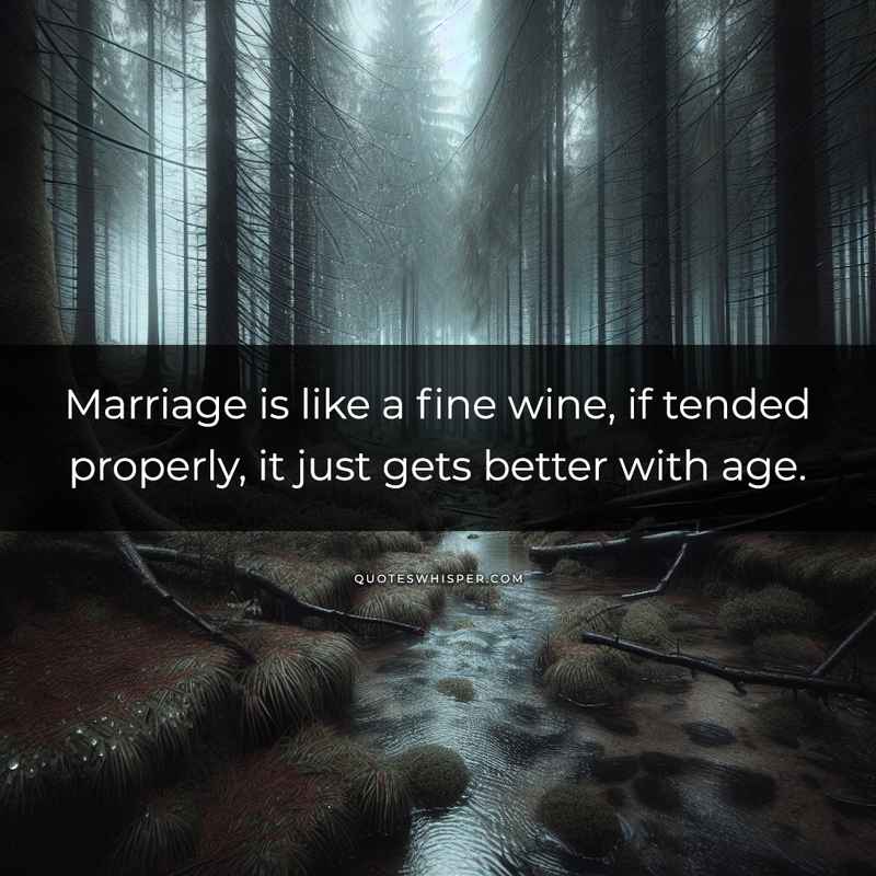 Marriage is like a fine wine, if tended properly, it just gets better with age.
