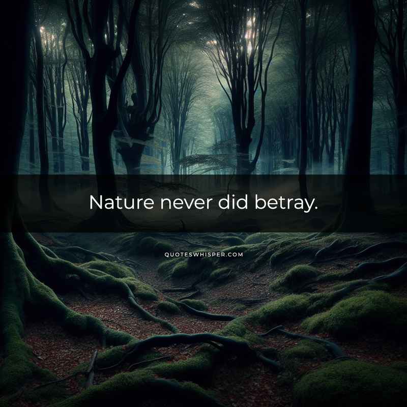 Nature never did betray.