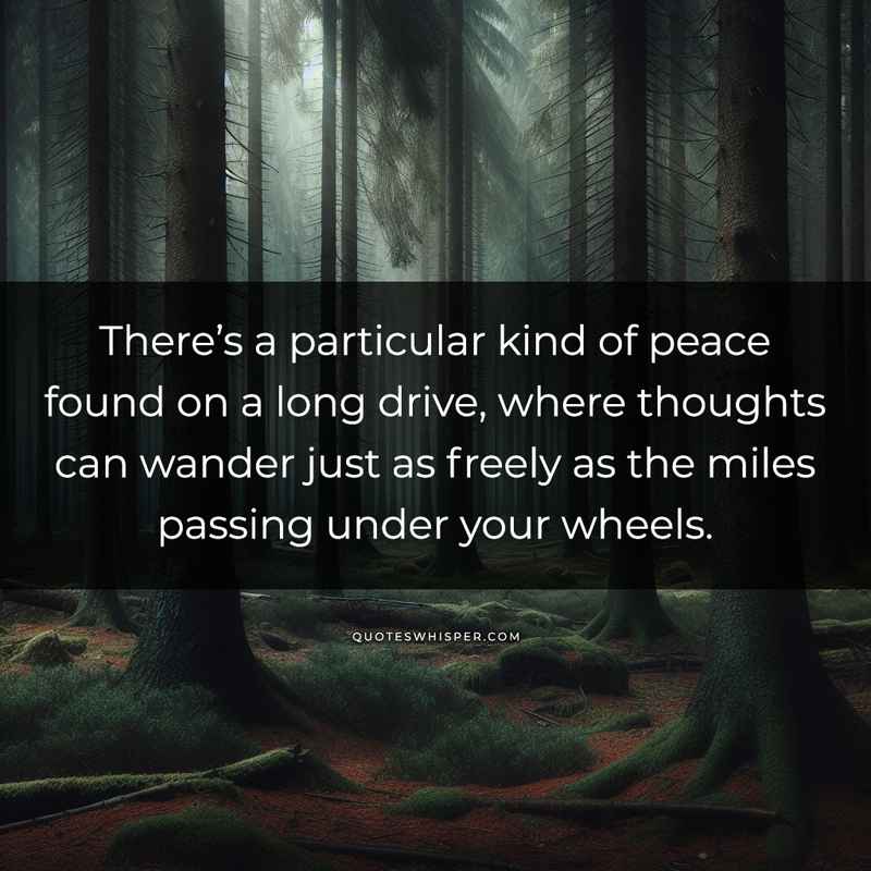 There’s a particular kind of peace found on a long drive, where thoughts can wander just as freely as the miles passing under your wheels.