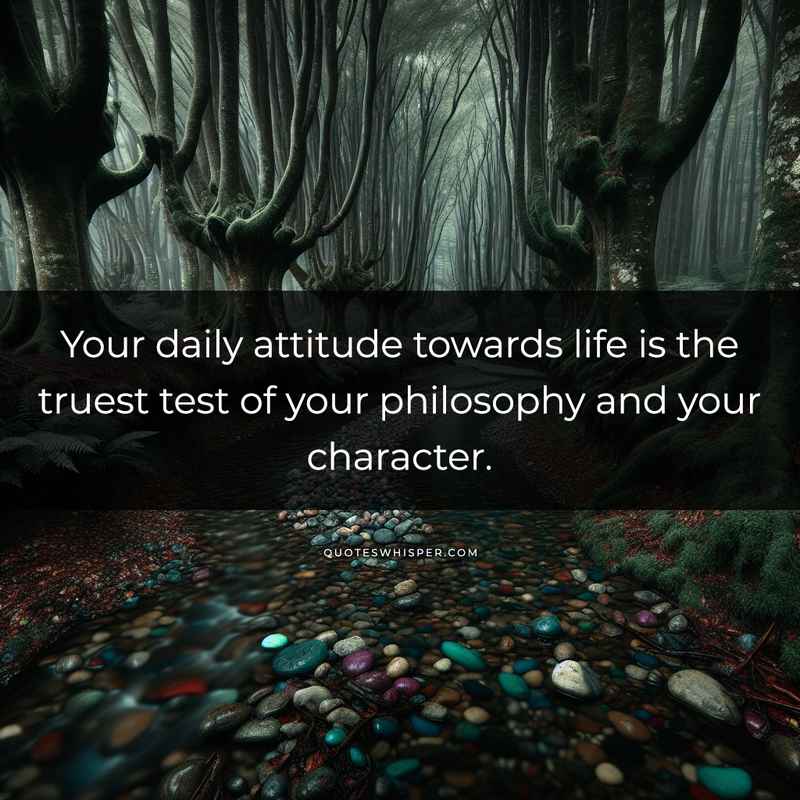 Your daily attitude towards life is the truest test of your philosophy and your character.