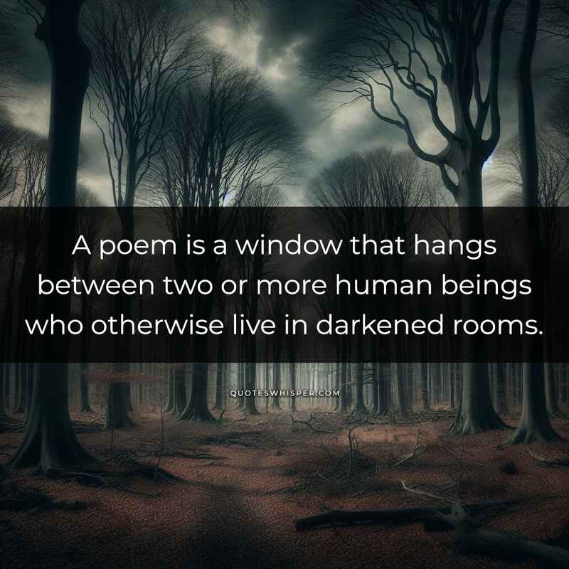 A poem is a window that hangs between two or more human beings who otherwise live in darkened rooms.